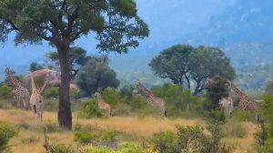 Глупая детская игра УБИЛА меня Я увидел свою прошлую смерть и плачущую жену ОКОЛОСМЕРТНЫЙ ОПЫТ