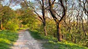 ОДЕССА 28 АПРЕЛЯ 2026. РФ ХОЧЕТ ВЕРНУТЬ ГРАНИЦЫ СССР! МЕРЦ ПОТЕРЯЛ НЮХ! ИЗРАИЛЬ ПОЛОЖИЛ НА УКРАИНУ!