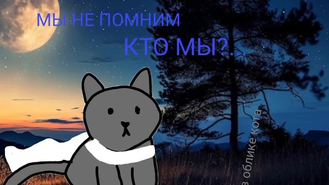 -идея взята у картошки
колаб с тобой: