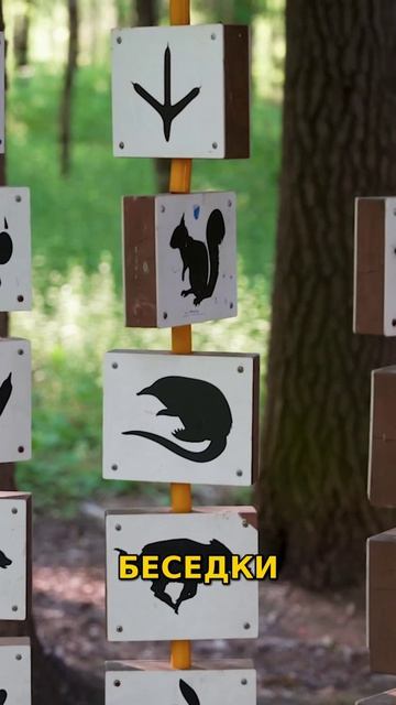 Обзор ЖК «Детали» в Новой Москве   Парк Марьино  Природа, Спорт и Отдых Рядом!