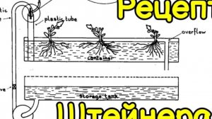 Удобрение Рецепт Штейнера для Комнатных Растений