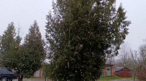 СП Необычный марафон «Успеть за час 🕘. 3-ья неделя