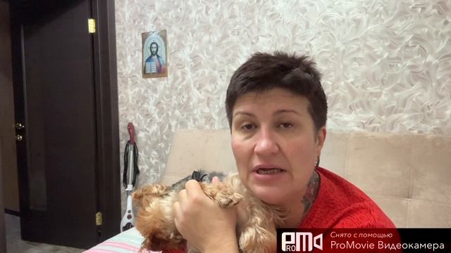 Меня муж потерял❤️😂🤣💃🇷🇺