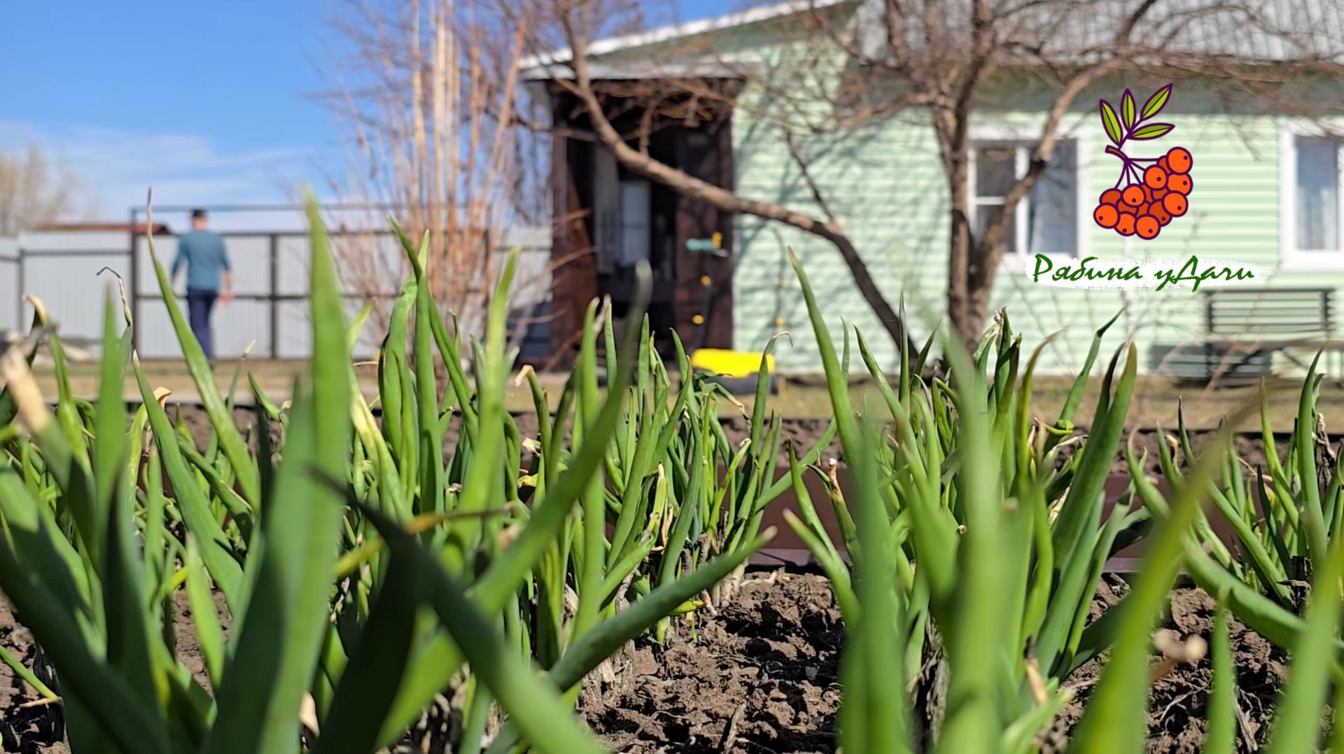 НАКОНЕЦ-ТО НА ДАЧЕ!КАЗАН ЗЕЛЕНЬ ГАЗОН  РАБОТАЕМ И ОТДЫХАЕМ