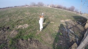 каспер собака в деревне