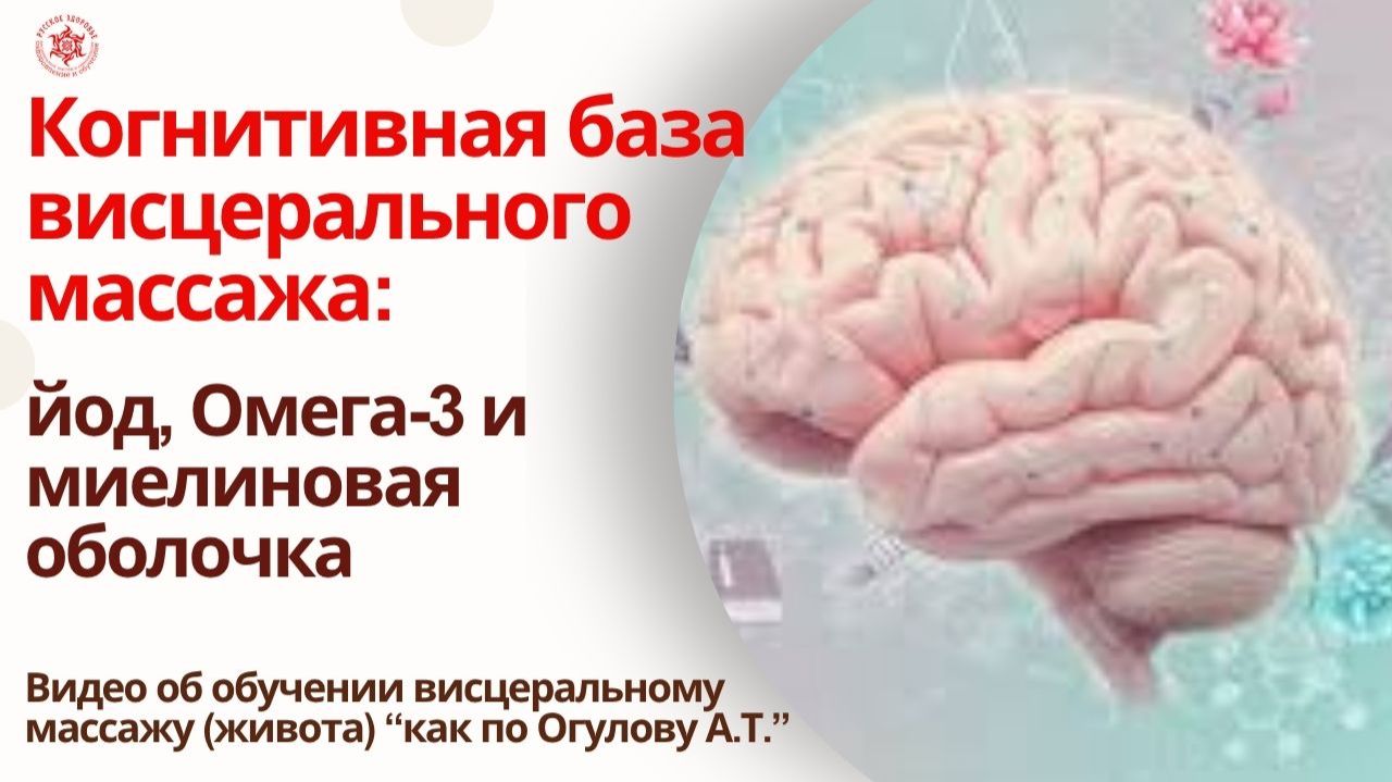 Когнитивная база висцерального массажа: йод, Омега-3 и миелиновая оболочка.  Видео об обучении