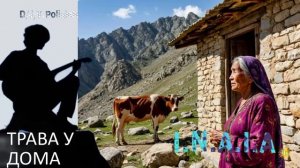 трава у дома