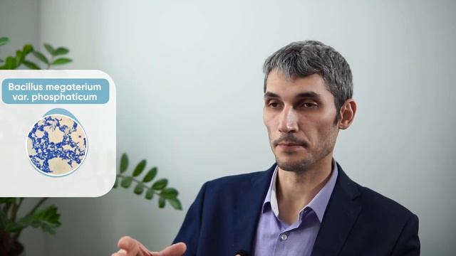 Детальныи обзор РК-мобилизатора Граундфикс