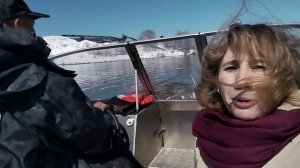 Инспекторы рыбоохраны ежедневно патрулируют Волгу в период нереста