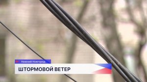 Штормовой ветер повалил деревья и повредил автомобили в Нижнем Новгороде