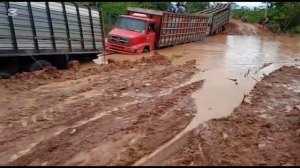 Поверил в себя. Бразильский дальнобой