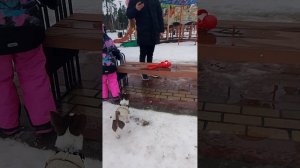 24часа с собакой и Максом.