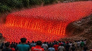 Невероятные природные моменты, которые попали в объектив камеры.