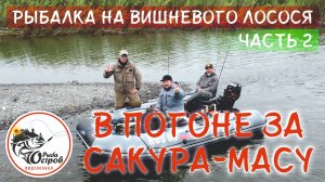 Ловля САКУРА-МАСУ (сима) на Сахалине: вишнёвый лосось — настоящий самурай среди рыб, Часть 2