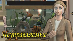 The Sims 2 «Неуправляемые». Приют им. Букварии