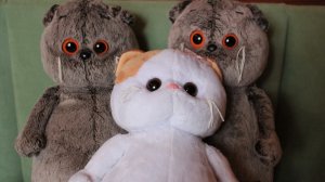 ЗНАКОМСТВО С БАСИКАМИ! ПЕРВОЕ ВИДЕО