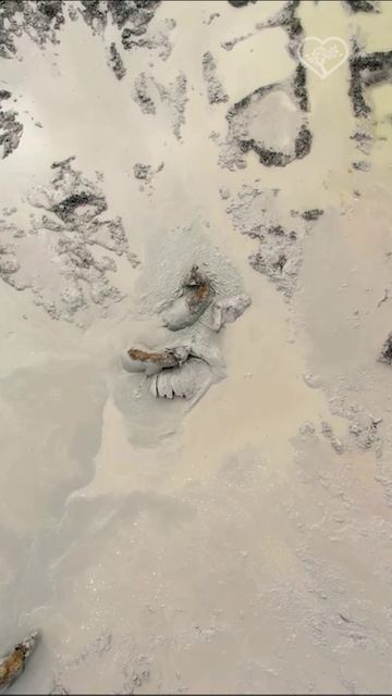 В дикой природе нет грязной пищи.