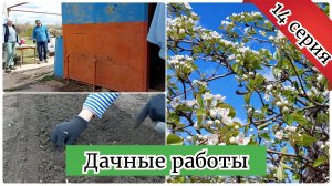 Работаем плодотворно на даче / Взялись за домик / Посадила укроп, лук и клубнику 😋 14 серия