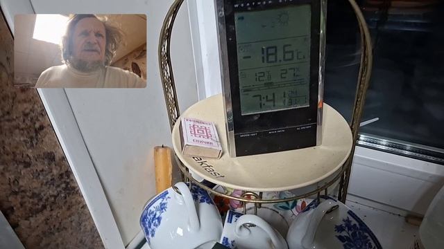 Последний день 2025 года / Орхидея обзавелась бутонами.