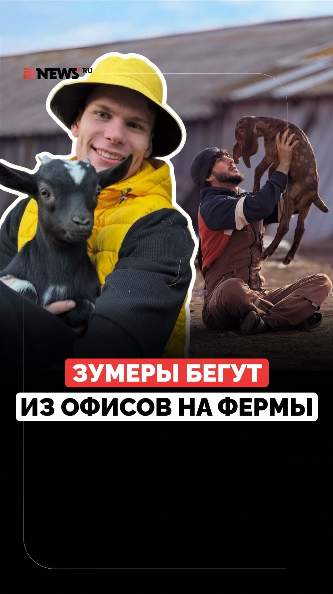 Молодёжь бежит на ферму от городской суеты