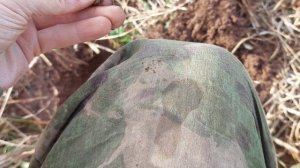 Коп на старом месте с хорошим результатом 2026 год