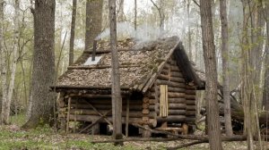 Уютный вечер в суровой бревенчатой хижине под завывания ледяного ветра