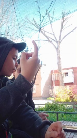 мы гуляем с пацанами