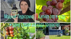 Vlog 🇩🇪 Наша Дача в Германии 🏕 ЭТО ПОДКОРМКА ЗАМЕНИТ ВСЕ Добавте это в воду ‼️увас Оживет Всё 🌱