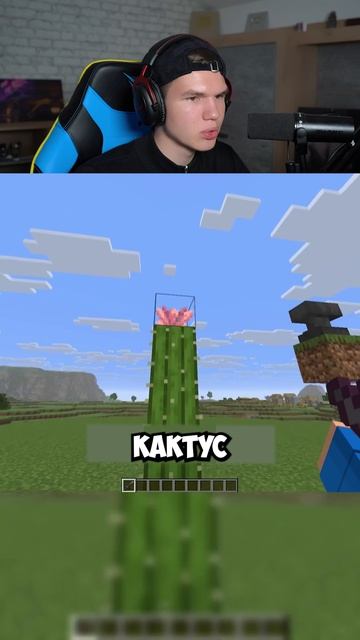 Майнкрафт ЛОГИКА 👅💔😨 #shorts #шортс #minecraft #майнкрафт