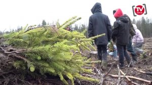САД ПАМЯТИ. ВСЕРОССИЙСКАЯ ЭКОЛОГО-ПАТРИОТИЧЕСКАЯ АКЦИЯ