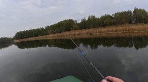 РЫБАЛКА НА БОЛЬШИЕ ПРИМАНКИ В ГЛУБОКОМ ЛЕСНОМ ОЗЕРЕ! Осенняя рыбалка на щуку.