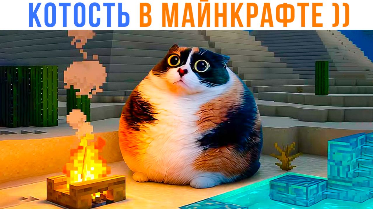 КОТОСТЬ В МАЙНКРАФТЕ ))) Приколы с котами | Мемозг 1748