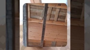 1000057210.mp4 (Собака наблюдает за устройством лестницы на 2-ой этаж в доме А-фрейм)