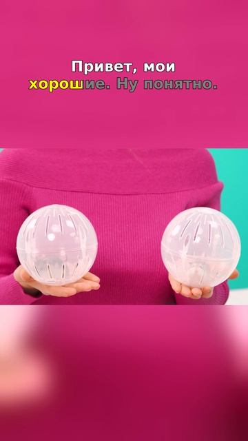 🔥 Тайная доставка пушистиков