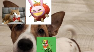 МиниБонëня и фелицынëня