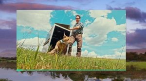 Мы Ошибались Насчет Мегалодона