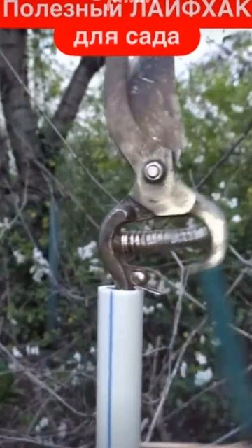 Лайфхак для садоводов