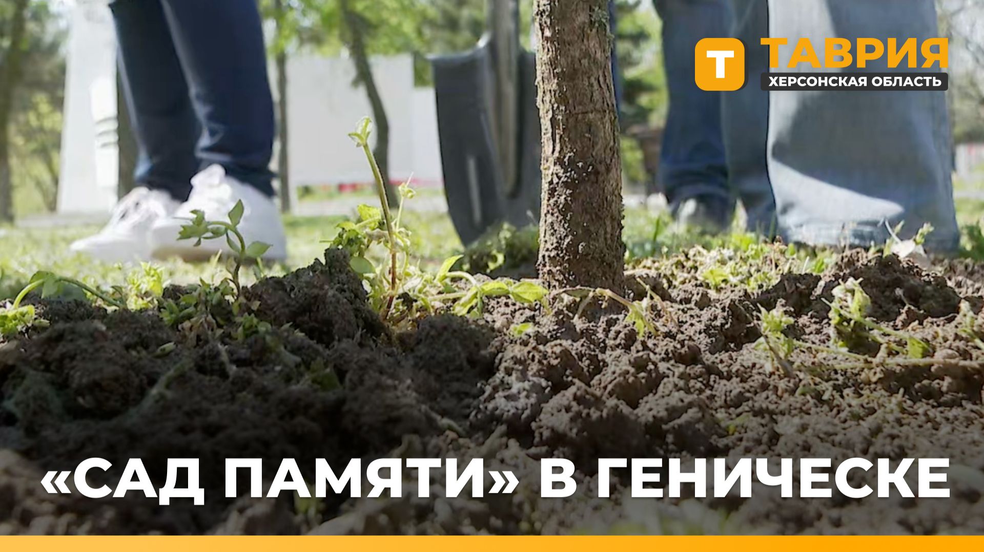 В рамках акции 