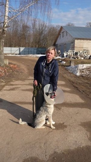 Призрак на пути к выздоровлению: история бродячего пса с переломом лапки 🐶❤️