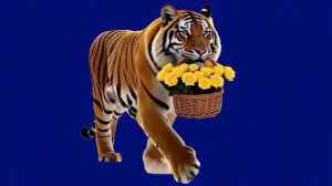 Тирг несёт цветы_encoded_encoded