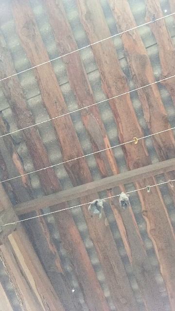 заклеиваю тырки