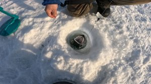 Рыбалка в предгорье плато Путорана | Отличная погода, рыба клюет... | День 1 Часть 2