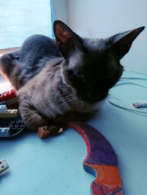 играю в бравул