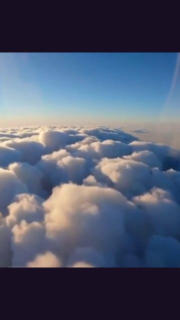 тикТок челлендж развлечение вирусный видео