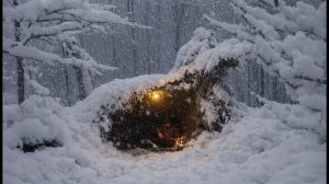 Без снаряжения, глубокий снег: сооружение идеального укрытия для выживания в суровую зиму