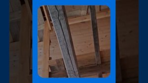 1000057212.mp4 (Собака наблюдает за устройством лестницы на 2-ой этаж в доме А-фрейм)