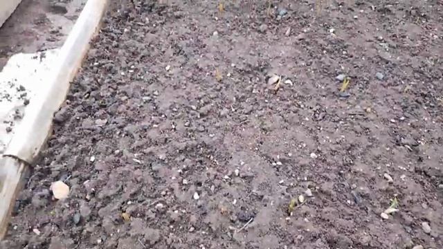 Что делать не знаю.Всё съели.