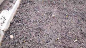 Что делать не знаю.Всё съели.