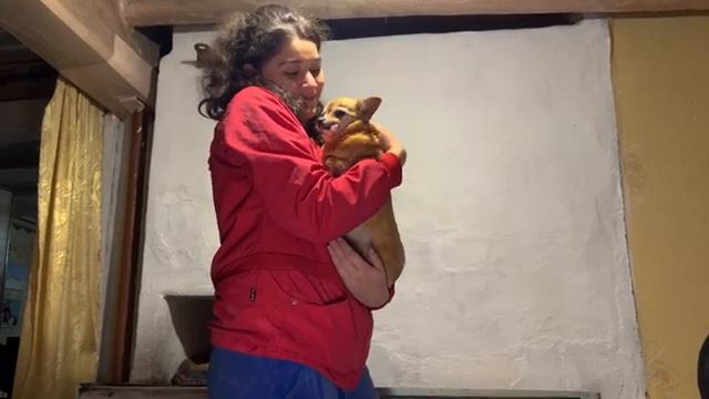 Первые дни в деревне после городской жизни.