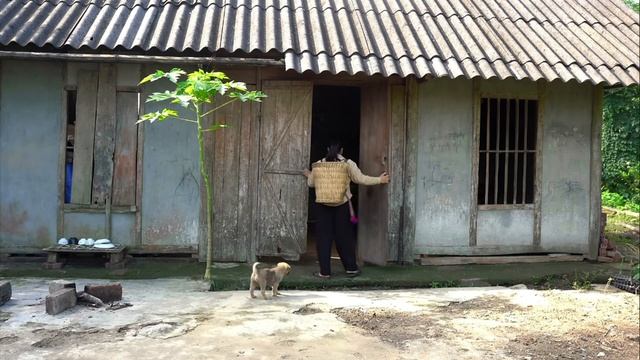 1ч.Как мать-одиночка отреагировала когда снова встретила доброго  генерального директора Три?